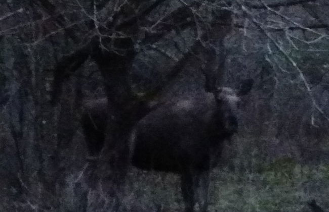 Kvarngården Natur Resort - Foto 56