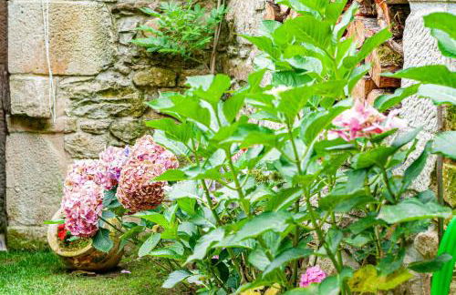 La Casa de Piedra - Foto 47