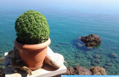 Alkioni Studios - Foto 78