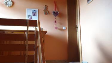 Natur Pur mit Weitblick - Foto 3