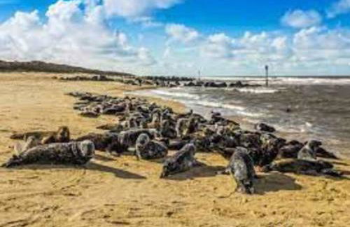 Cliff Lane Annexe: stylish in a perfect location. - Foto 53