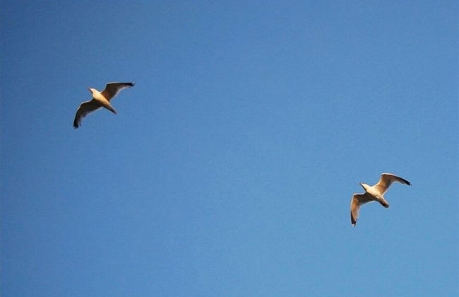 Cosy, Quiet Static Caravan, Mawgan Porth, St Eval - Foto 14