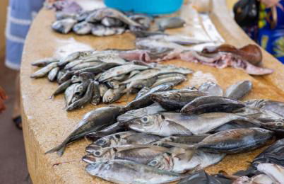 Aguda Beach Porto, Slow Travel Houses - Foto 54