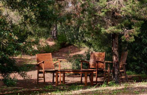 CAN COLL DES COCONS BAREFOOT HOUSE 5MIN FROM PACHA - Foto 33