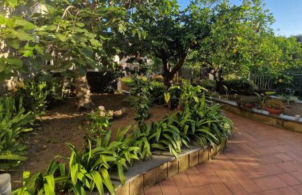 Il Giardino dei Gigli - Photo 40