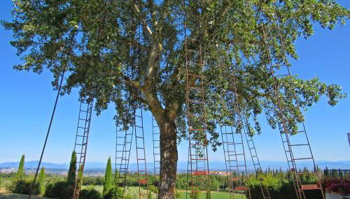 LA RIMESSA EXPERIENCE-Dream Holiday Home - Foto 4, Garden, Garden view