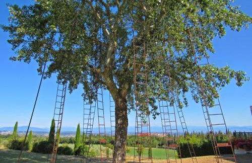 LA RIMESSA EXPERIENCE-Dream Holiday Home - Foto 4