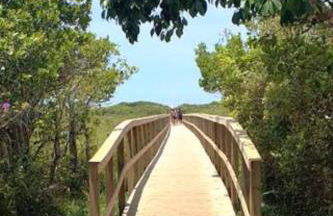 Apto 2 quartos completo em Condomínio Clube a 350 metros da praia do Campeche - Photo 24