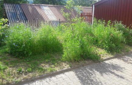 Ferienwohnung Ullrich im Spessart - Foto 34