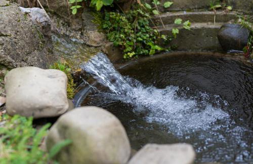 Apartmani Belvedere - Foto 47