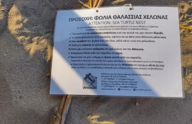 Angel House - Foto 7