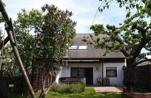 Haus-Feldblick-Neubulach - Foto 7