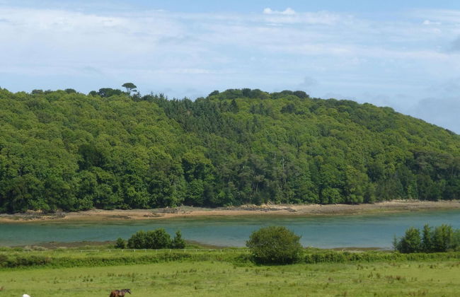 House in Saint-quay Near 7 Beaches - Photo 33