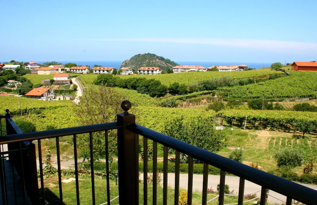 Usotegi Agroturismo - Foto 60