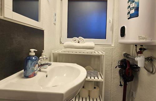 Grünhäuschen im Erzgebirge, 620 m üdM - Foto 18