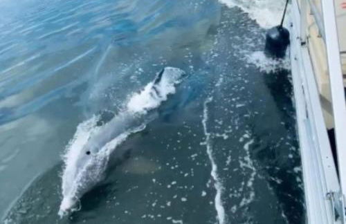 Sunny Delight I - Foto 32