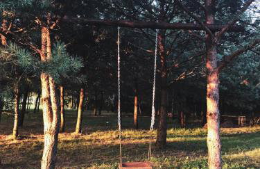 Sosnówka - dom wypoczynkowy na Kurpiach - Foto 27