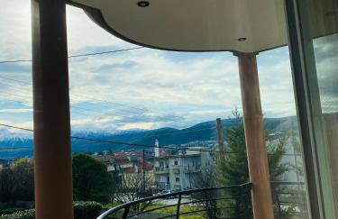 Morfeas Apartment Ioannina - Foto 27