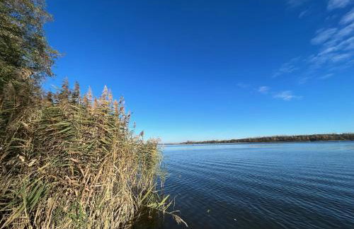 Gold Pearl Zegrze - Foto 41