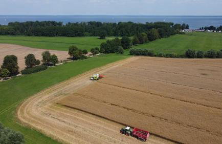 Das kleine, gemütliche Ferienhaus - Foto 26