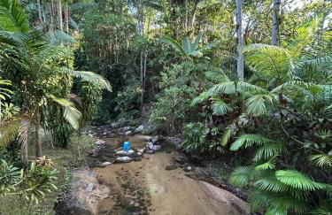Um chalé e um riacho no meio da natureza - Foto 33