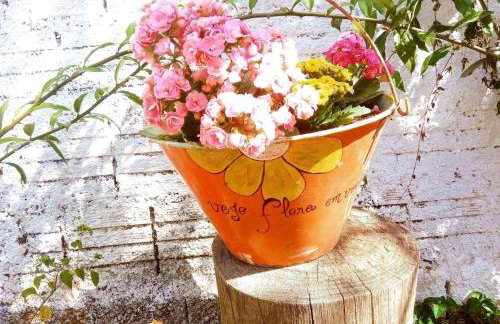 Villa Ágape - Chapada dos Veadeiros - Foto 77