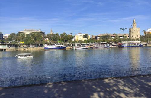 Vive Triana - Foto 28
