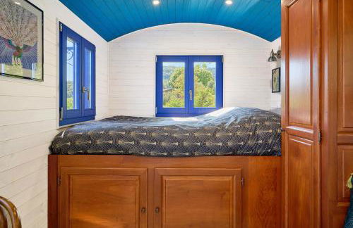 Poggio Diavolino - Suvereto - Foto 31