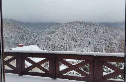 Chatka Beskidzka - Foto 41