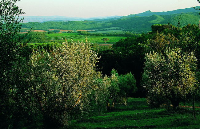 Fattoria Casabianca - Foto 51