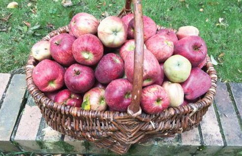 3 Bedroom Lovely Home In Nowe Warpno - Foto 18