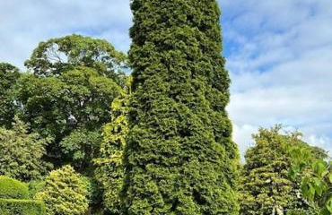 The Cottage, Walworth Demesne - Foto 42