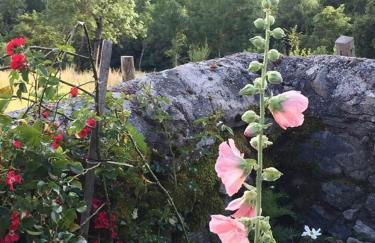 Gîte Jules Romains - Foto 18