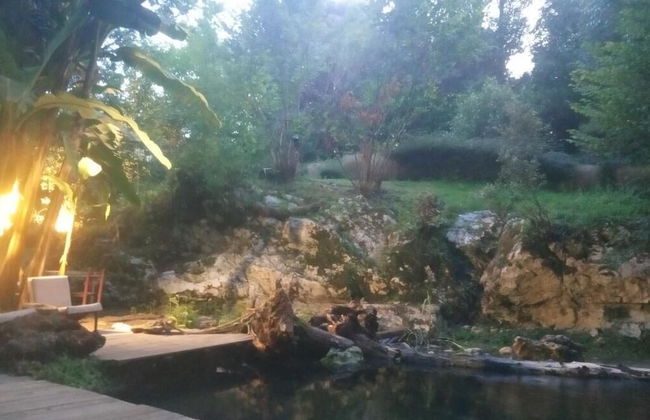 Bosque de Cuevas - Foto 52