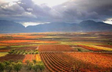 Villa turística Camina y Rioja - Foto 33