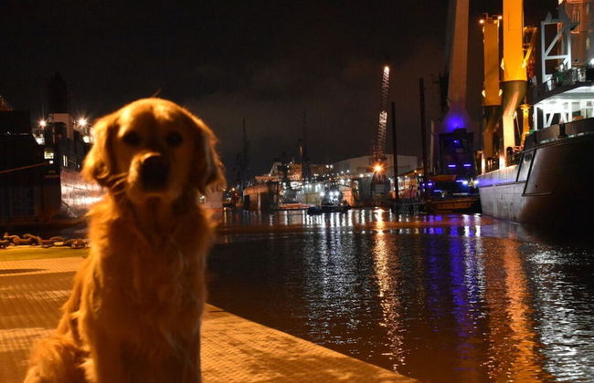 Apartment Newport Weser - Foto 20