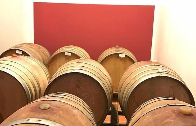 La Canonica - Photo 10