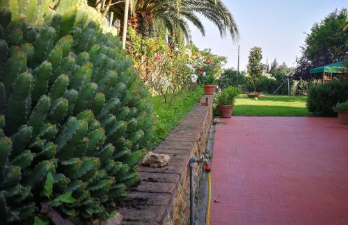 Vacanze Verde Mare - Beggi - Foto 14