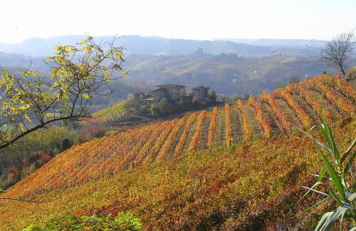 Cascina Curairone - Foto 35