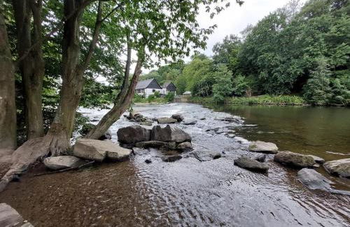 Gartenglück, entspannt wohnen am Obstwanderweg - Foto 43