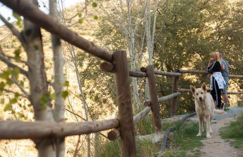 Casas Rurales Picachico - Foto 13