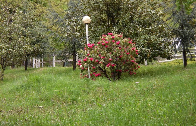 Agriturismo Le Giare - Foto 30