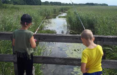 Domki na Mazurach "Malinka" - Foto 13