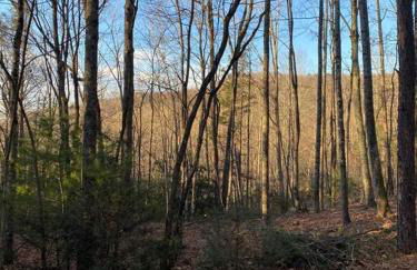 1850s Settlers Cabin at Wethero Ridge - Foto 33
