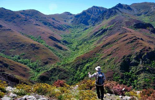 Casa Gelita - Foto 26