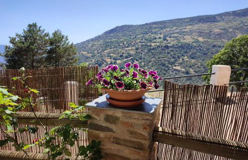 Casa Alpujarreña Fina Número 27 - Photo 13