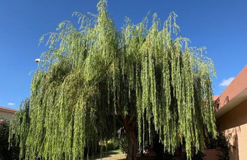 Bilocali Residenza Mediterranea Cannigione - Foto 29