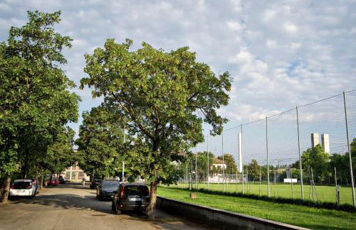 Casa Zoe Apartment Free parking,self check in & free wi fi - Photo 32