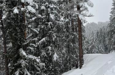 Chalet Tschattlhof Dolomites - Foto 22