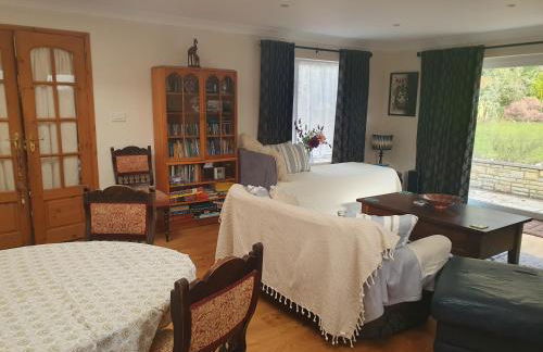 Little Dragons - Photo 12